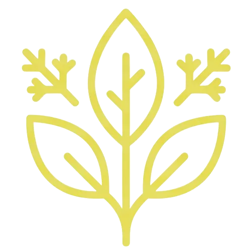 zioła i liście symbolizujące saunę ziołową